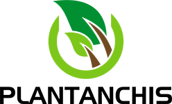 Logo Plantanchis