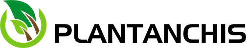Logo Plantanchis