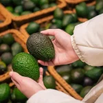 Agricultores multiplican sus ingresos con cambio de siembra