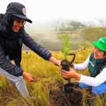 Proyecto siembra un millón de árboles nativos en Cajamarca