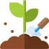 Producción de plantines