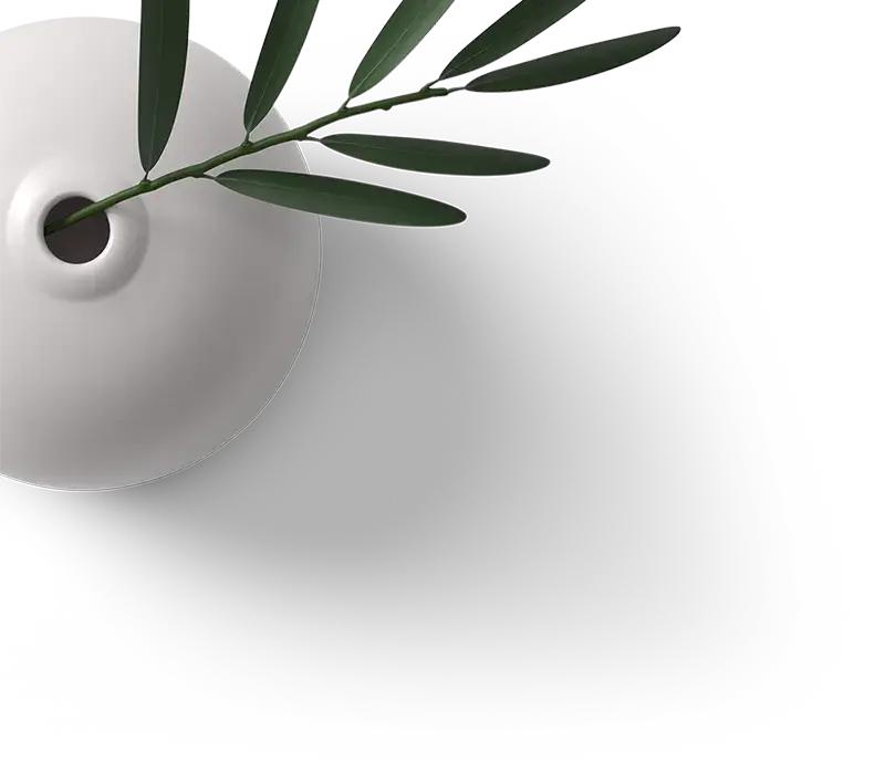 Plantanchis