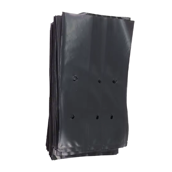 Bolsa de Cultivo 5×8.5×2