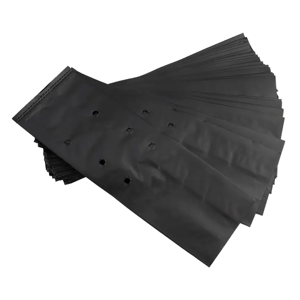 Bolsa de Cultivo 6x10x2