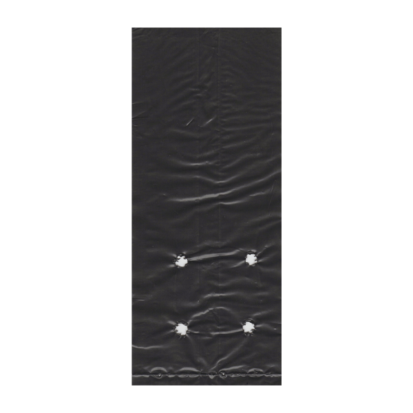 Bolsa de Cultivo 6x8x2