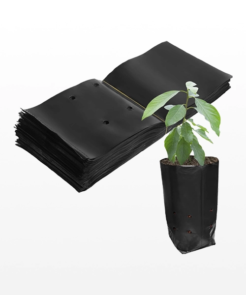 Bolsas de Cultivo