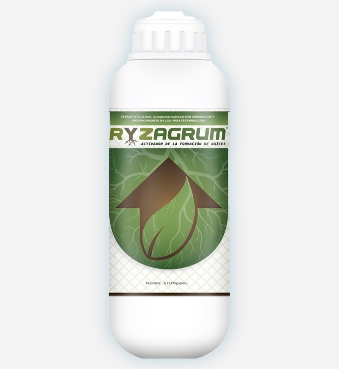 Enraizante Ryzagrum 1L Neoagrum