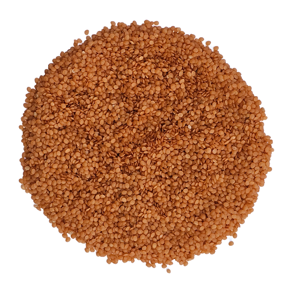 Semilla de Aguaymanto