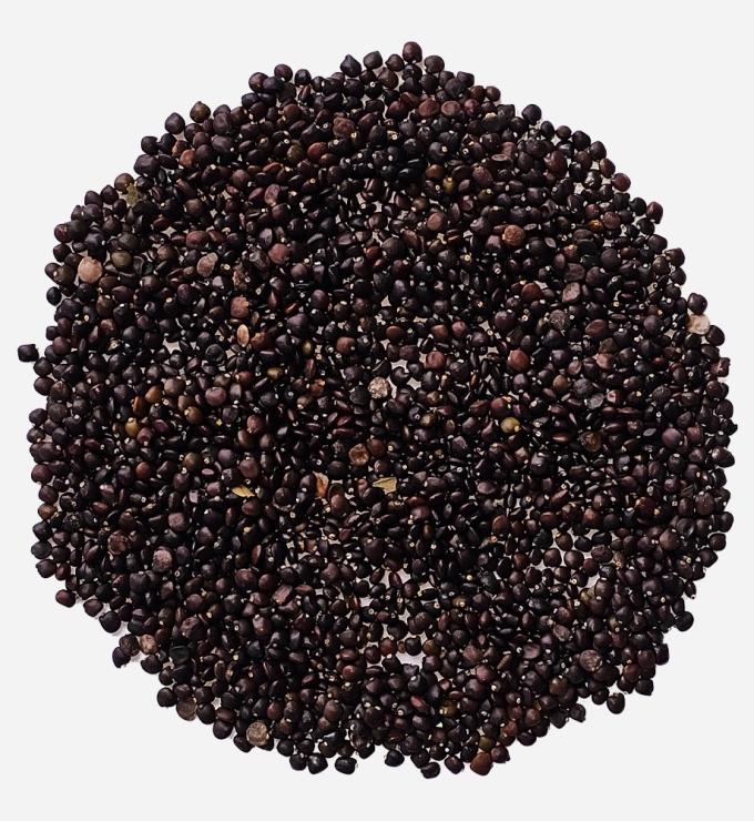 Semilla de ​Ceticio