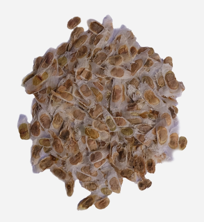 Semilla de ​Huaranhuay