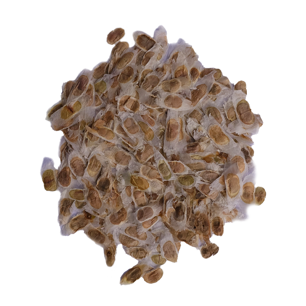 Semilla de Huaranhuay